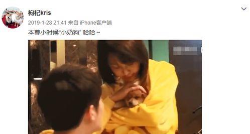 张恒爆料狗狗视频,背后真相令人震惊