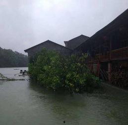 网友爆料山洪视频大全集,惊心动魄的山洪视频大全集 第3张 网友爆料山洪视频大全集,惊心动魄的山洪视频大全集 第3张