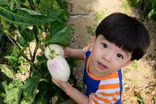 泰娱的瓜可太有嚼头了娱乐吃瓜酱,吃瓜酱带你揭秘娱乐圈最新猛料 第2张 泰娱的瓜可太有嚼头了娱乐吃瓜酱,吃瓜酱带你揭秘娱乐圈最新猛料 第2张