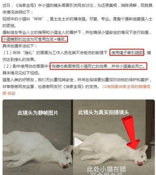 群演爆料大全视频下载,揭秘影视幕后那些事儿  第3张